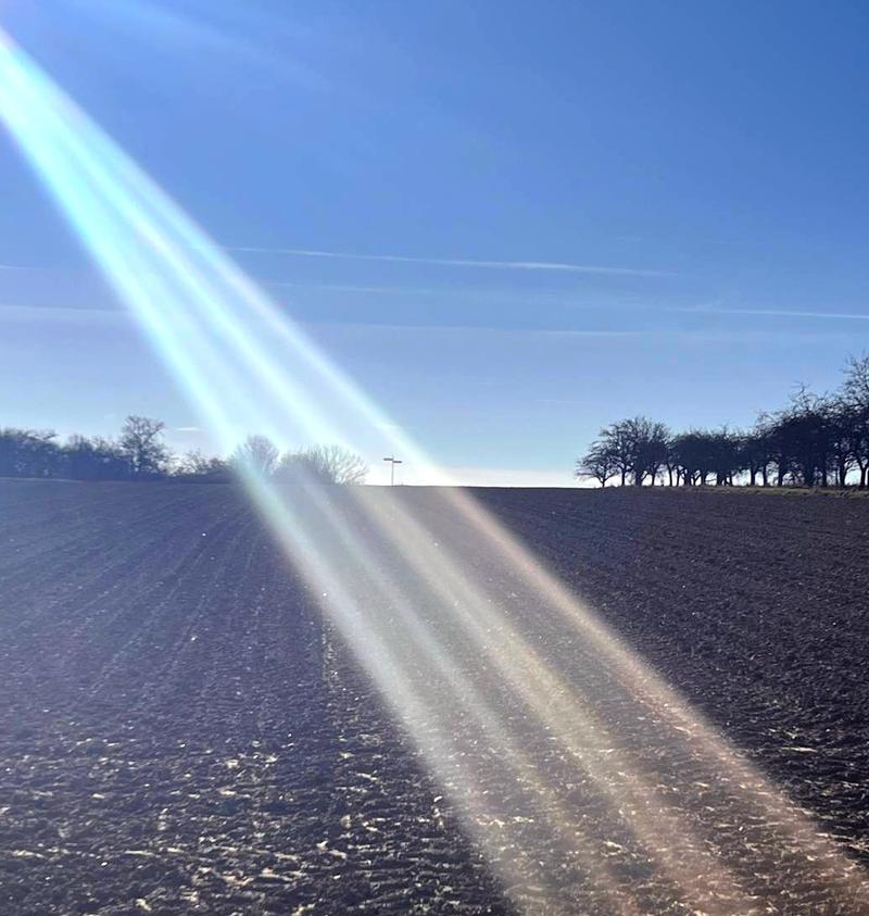 La Lettre INTER-Médiés – Janvier 2026