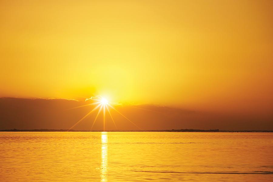 Le soleil donne